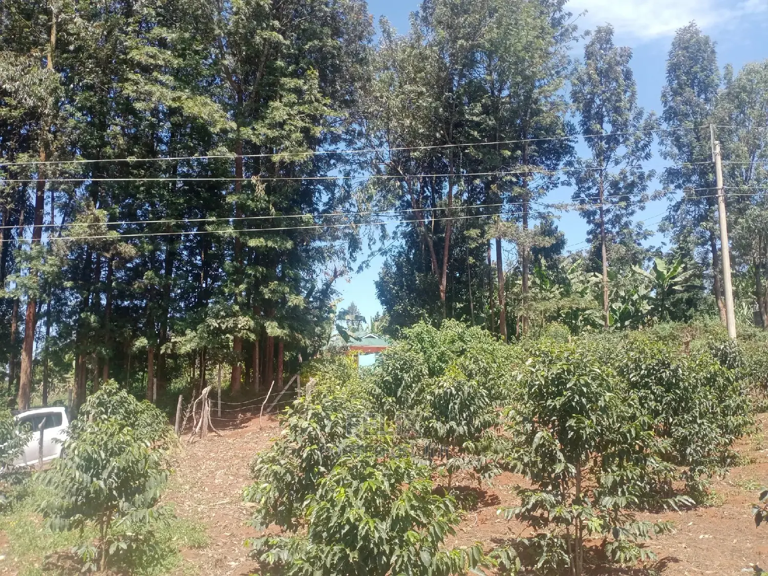 Karatina Mwanda Quarter Plot in Karatina Town