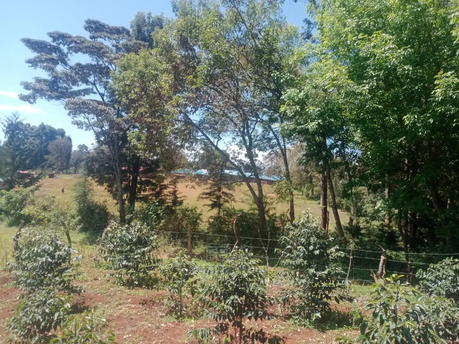 Karatina Mwanda Quarter Plot in Karatina Town
