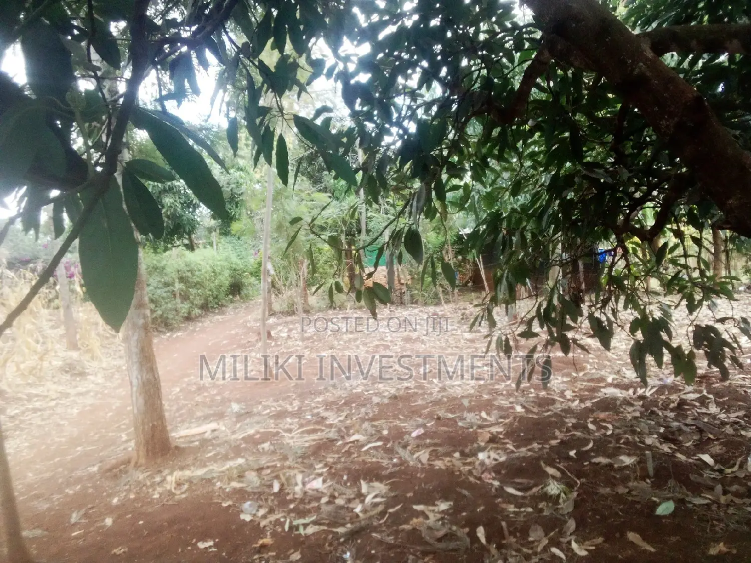 40x80 Kenol Plot - Your Chance to Own a Piece of Prime Land in Kimorori/Wempa