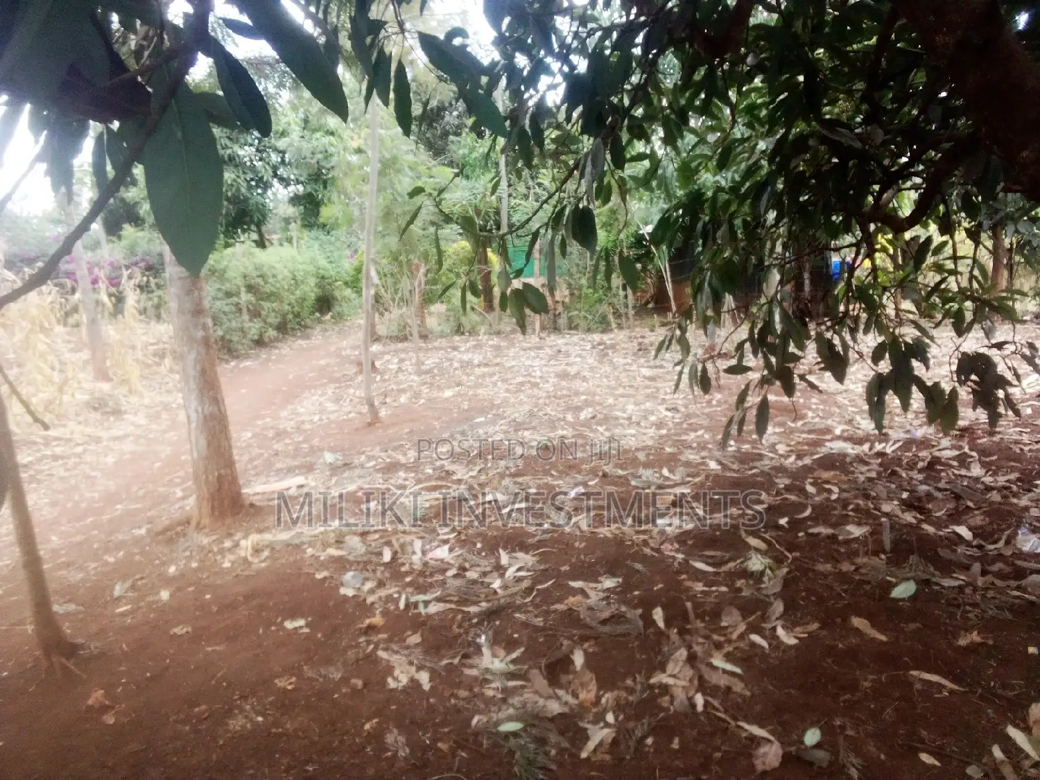 40x80 Kenol Plot - Your Chance to Own a Piece of Prime Land in Kimorori/Wempa