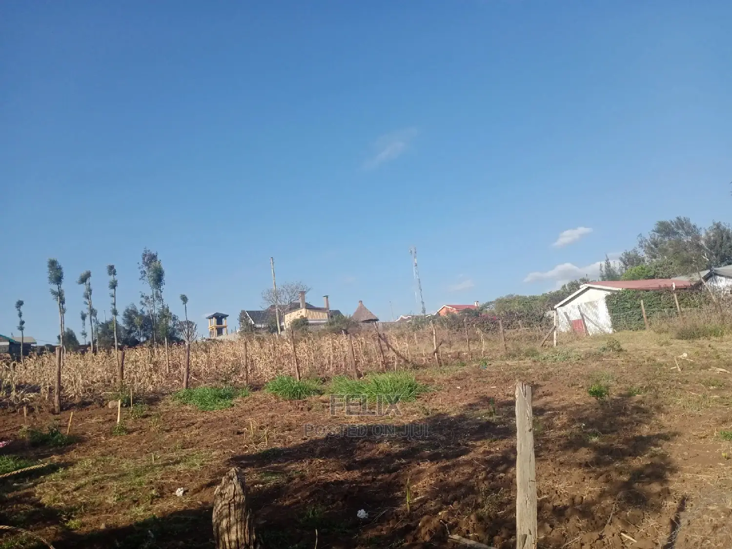 Chaka/Milimani 50/100 in Kieni