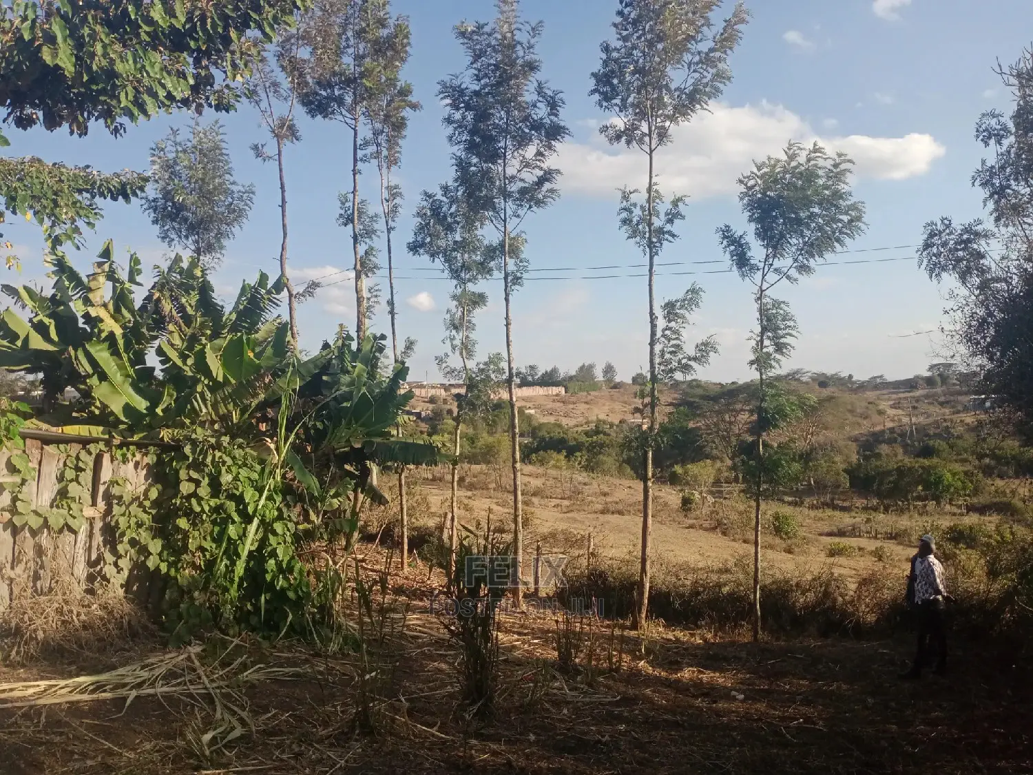 Chaka/Milimani 50/100 in Kieni