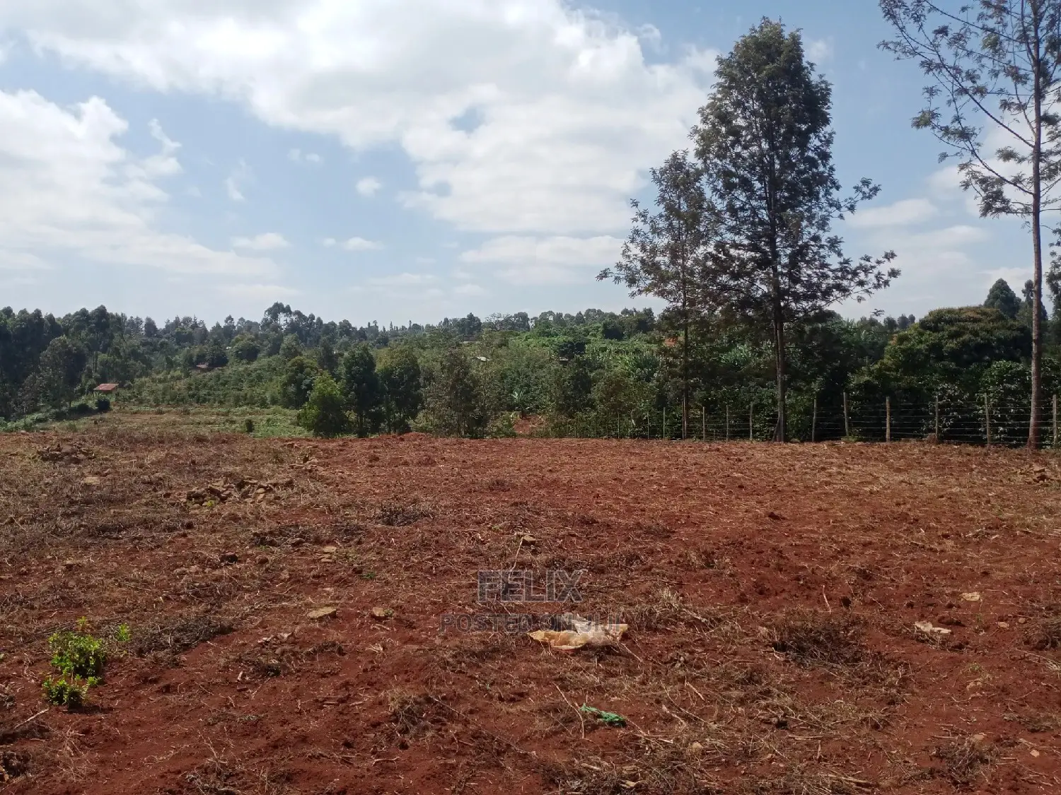 Prime Plots Karatina/Karindundu in Karatina Town