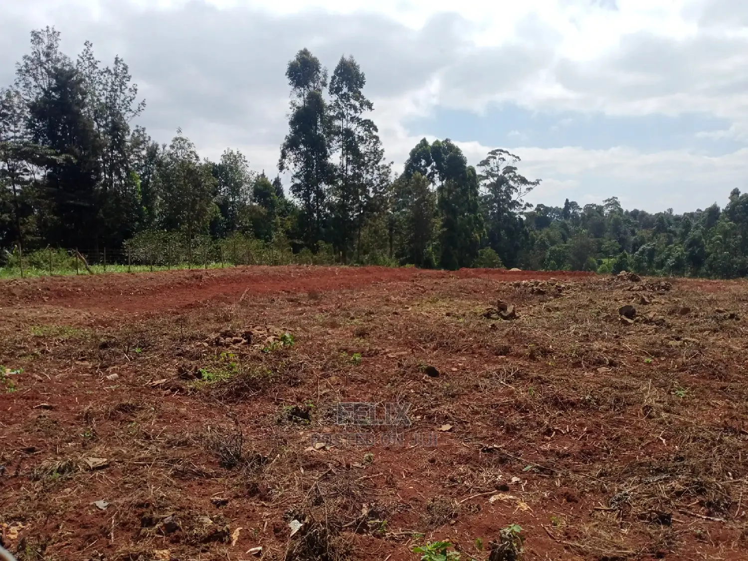 Prime Plots Karatina/Karindundu in Karatina Town
