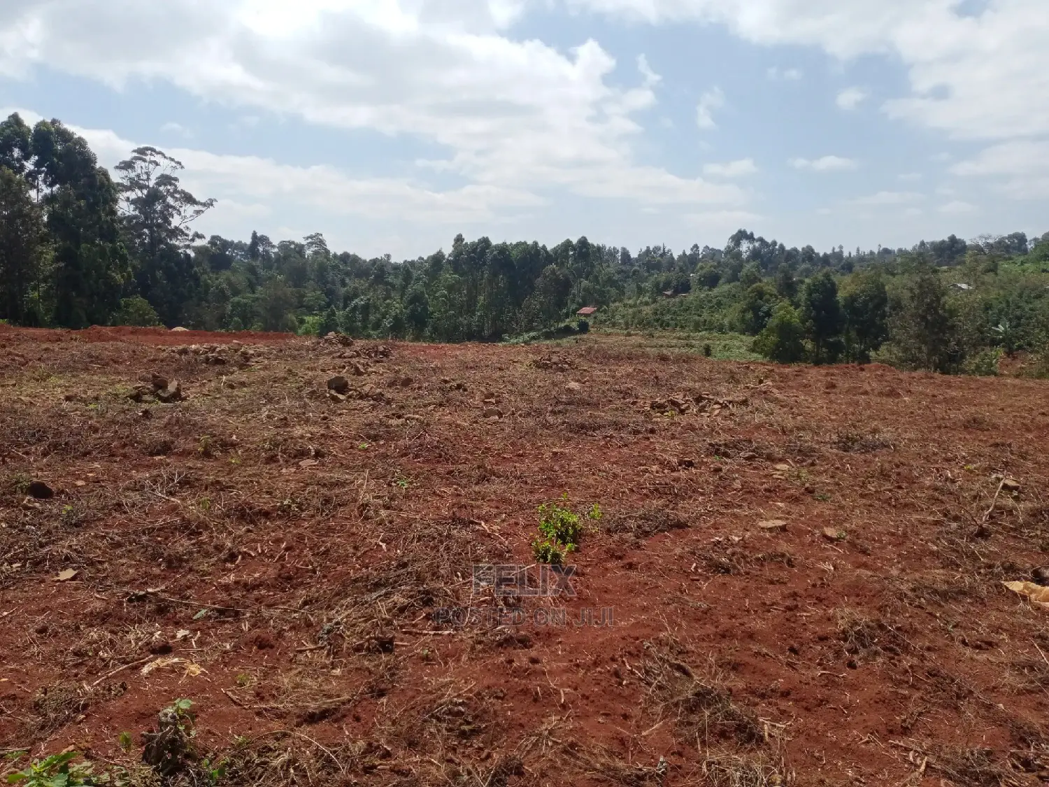 Prime Plots Karatina/Karindundu in Karatina Town
