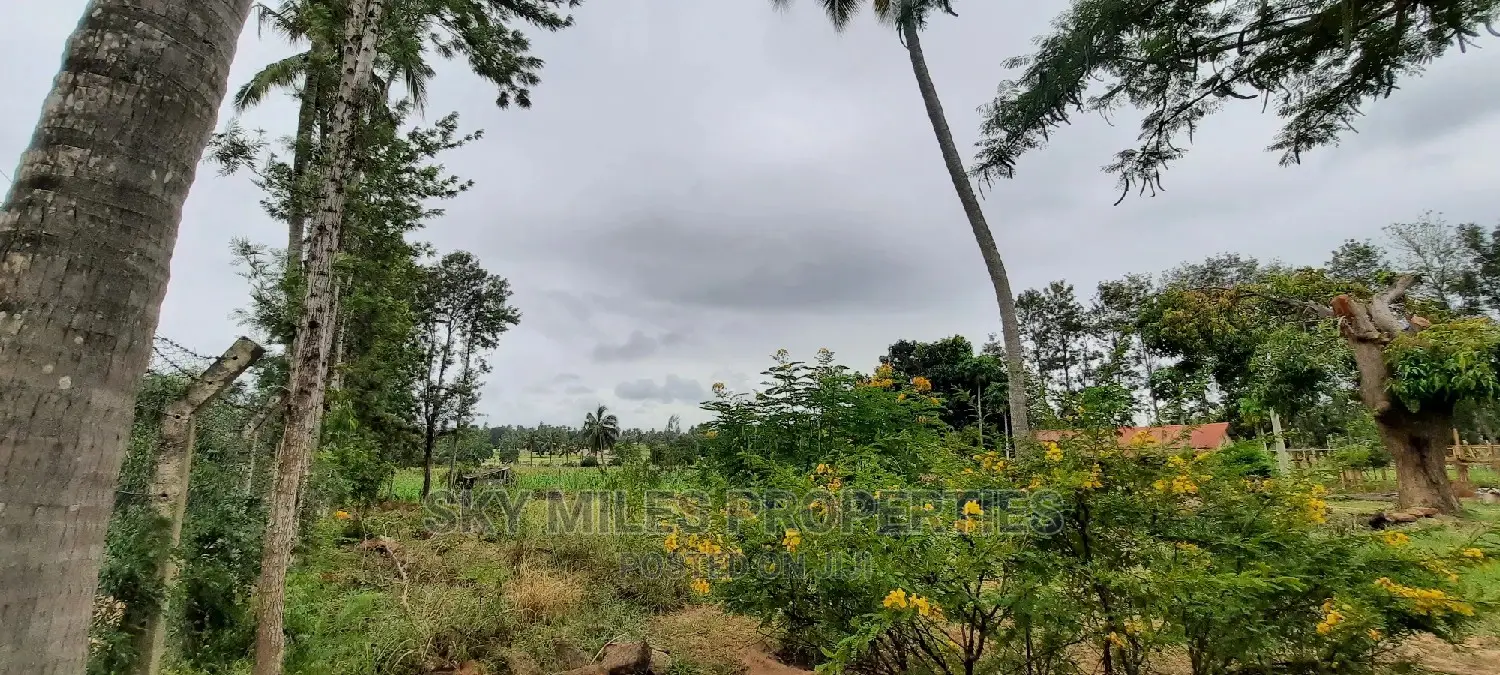 Own 6 Acres in Bomani: Prime Land Parcel Now Available for Purchase! in Kikambala