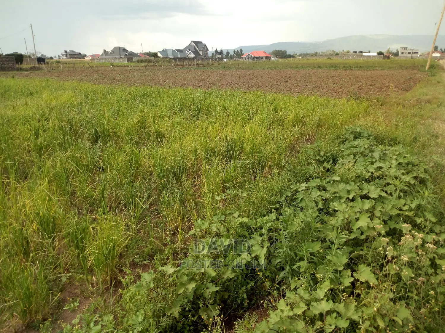 Plot for Sale in Muwa in Lanet