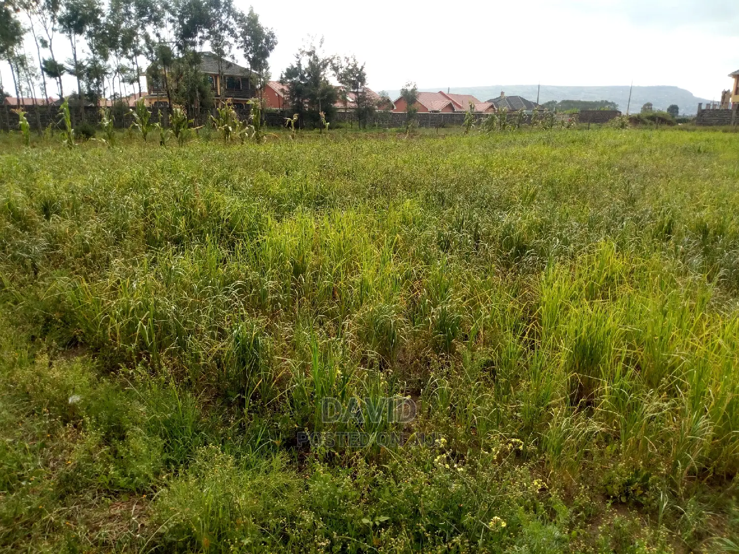 Plot for Sale in Muwa in Lanet