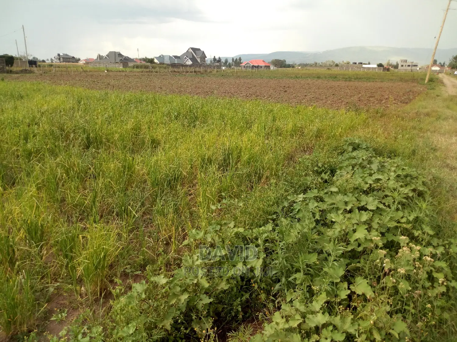 Plot for Sale in Muwa in Lanet