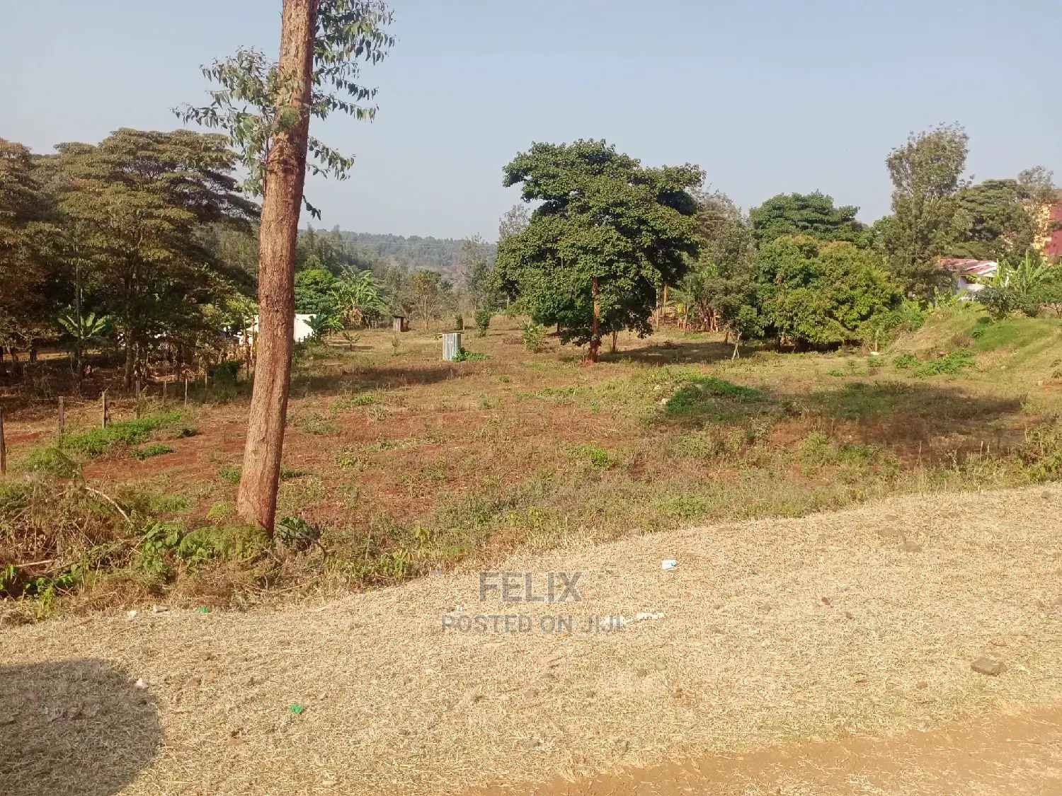 Karatina/Muthua 50/100 in Karatina Town
