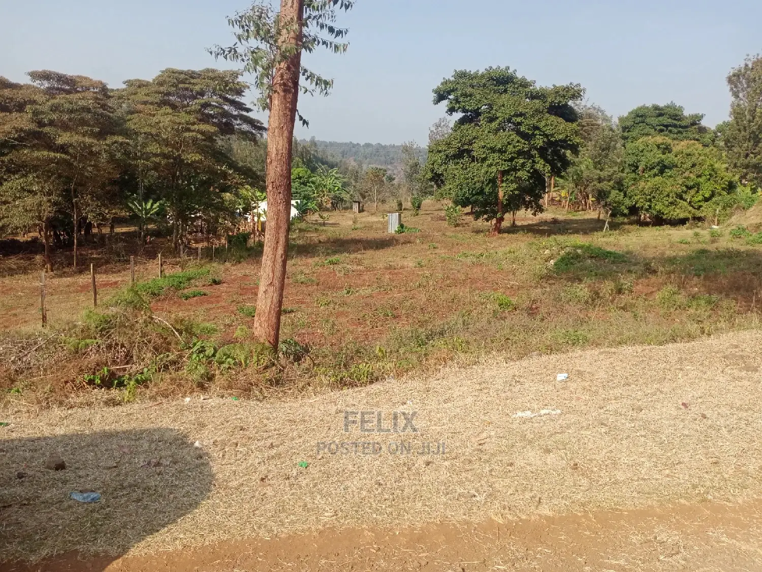 Karatina/Muthua 50/100 in Karatina Town