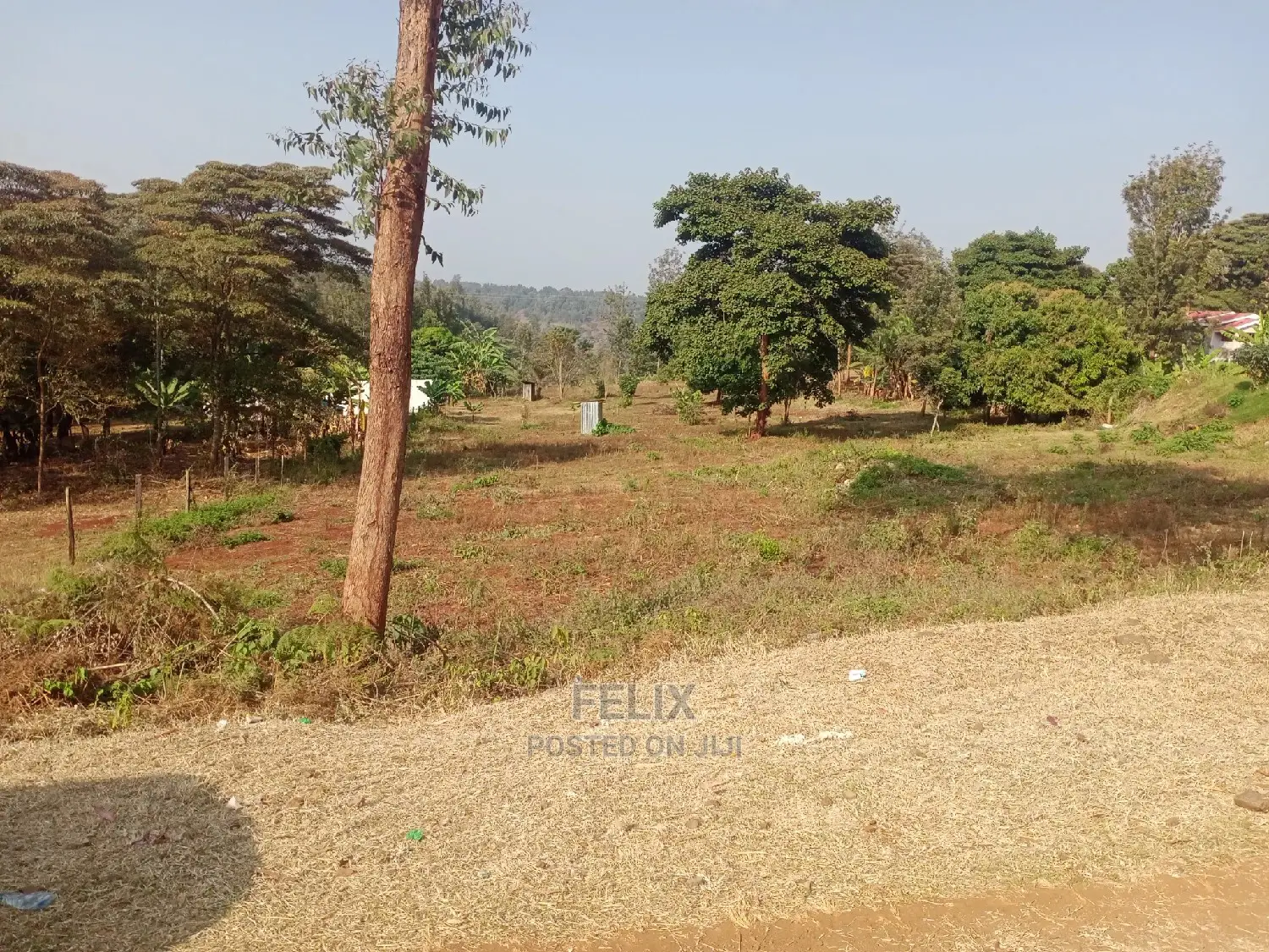 Karatina/Muthua 50/100 in Karatina Town