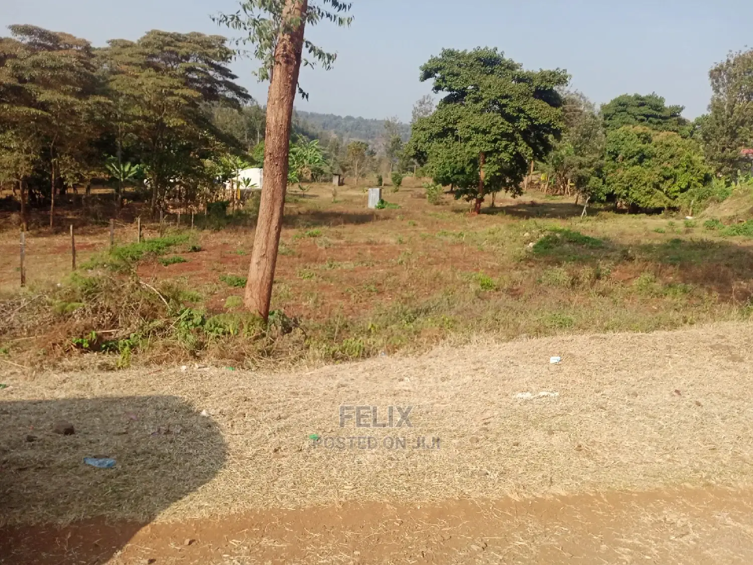 Karatina/Muthua 50/100 in Karatina Town