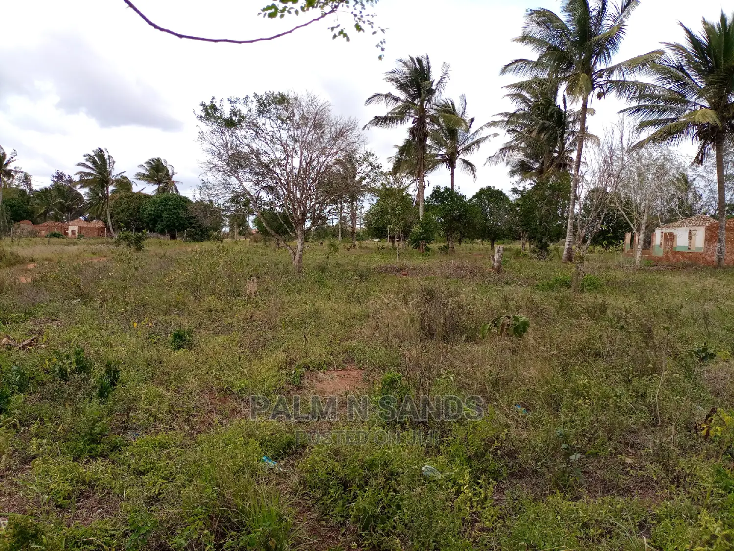 One Acre Property in Golini for Sale in Ukunda
