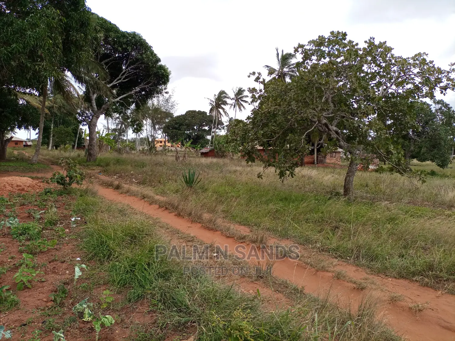 One Acre Property in Golini for Sale in Ukunda