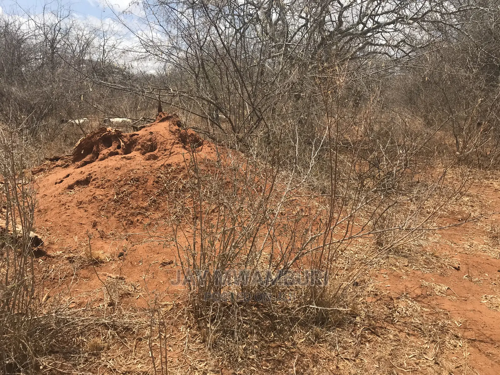 100 Acre Makindu in Makindu