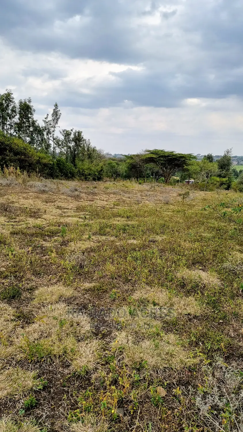 1/4 Acre Kandisi at 4.5m in Kandisi