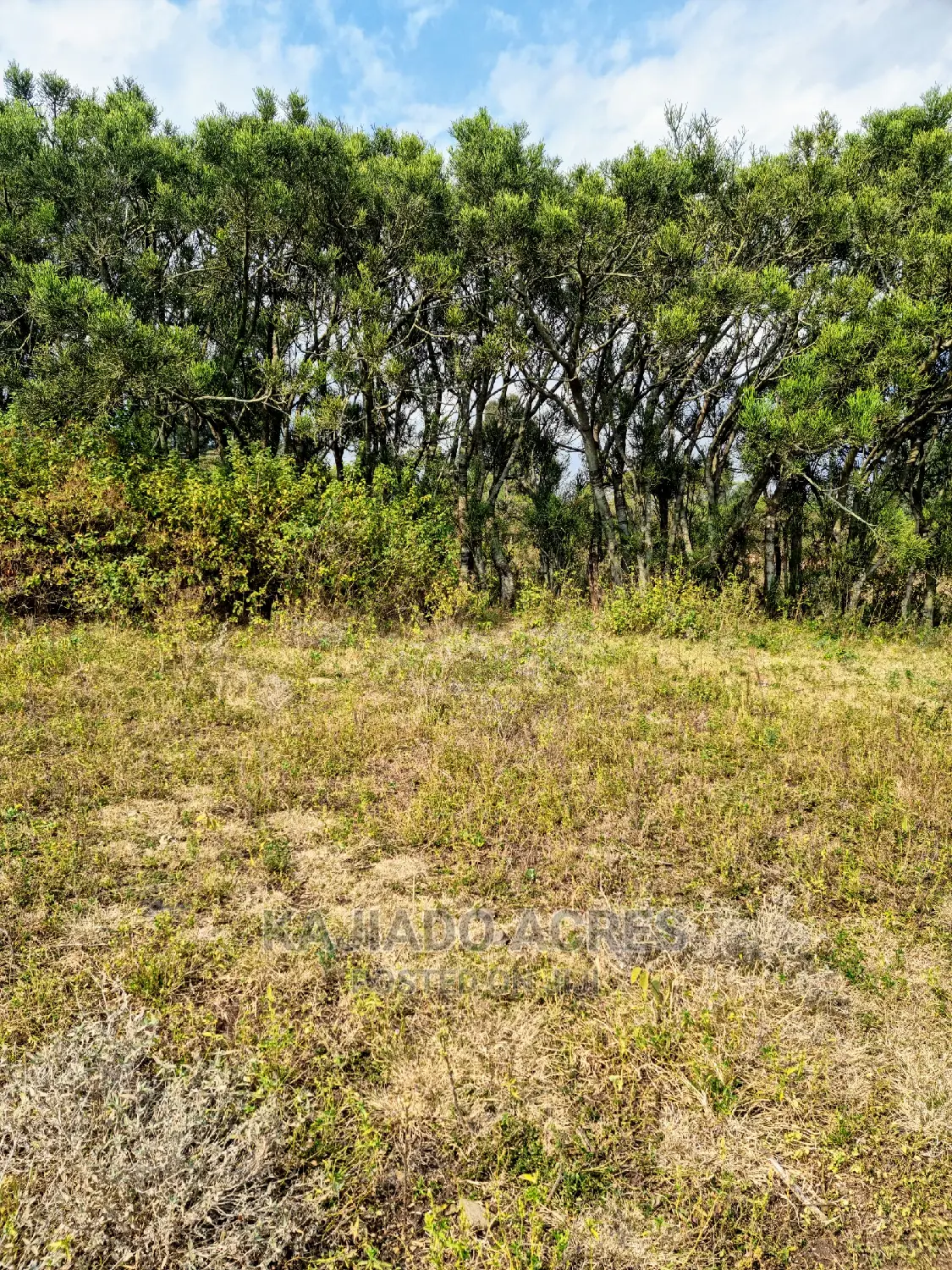 1/4 Acre Kandisi at 4.5m in Kandisi