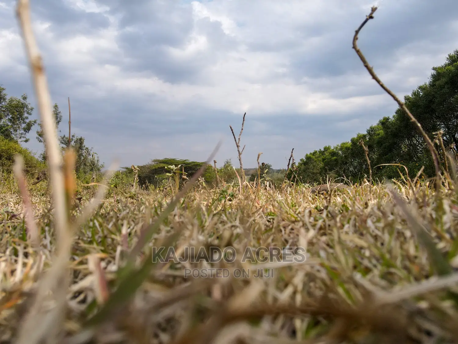 1/4 Acre Kandisi at 4.5m in Kandisi