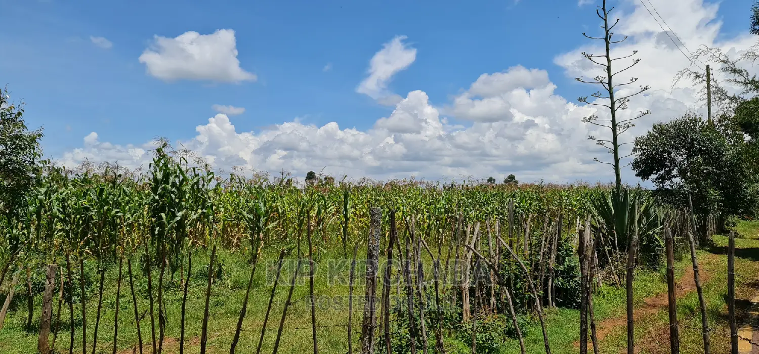 Plots Available: Illula After Kapsoya, Eldoret in Illula
