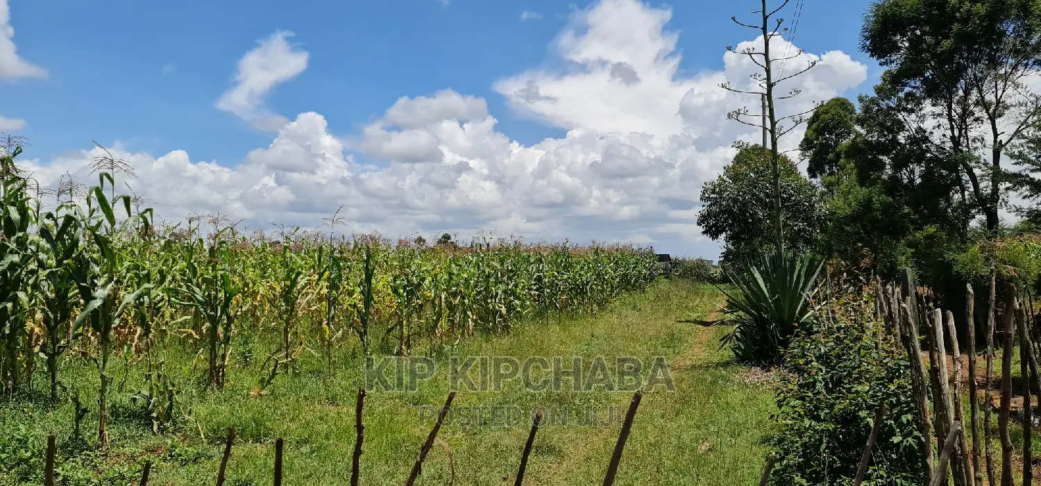 Plots Available: Illula After Kapsoya, Eldoret in Illula