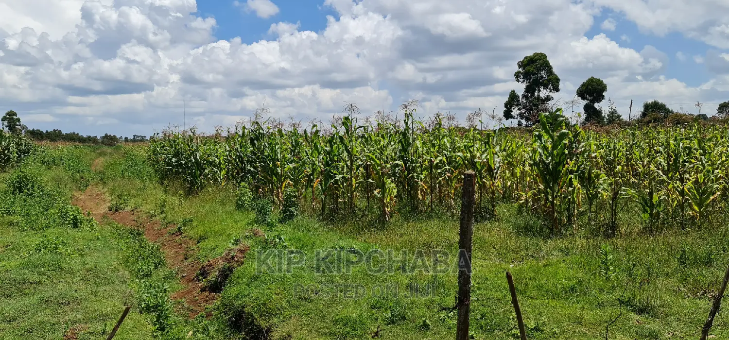 Plots Available: Illula After Kapsoya, Eldoret in Illula