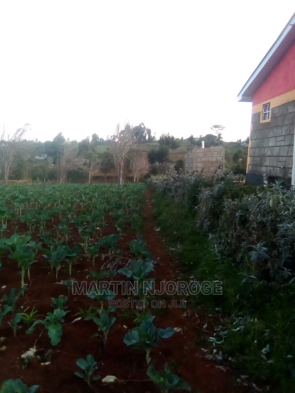 50 by 100 Murengeti, Limuru in Limuru CBD