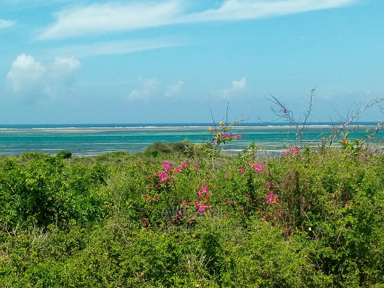 Prime Watamu Beach Plot Available for Purchase in Watamu