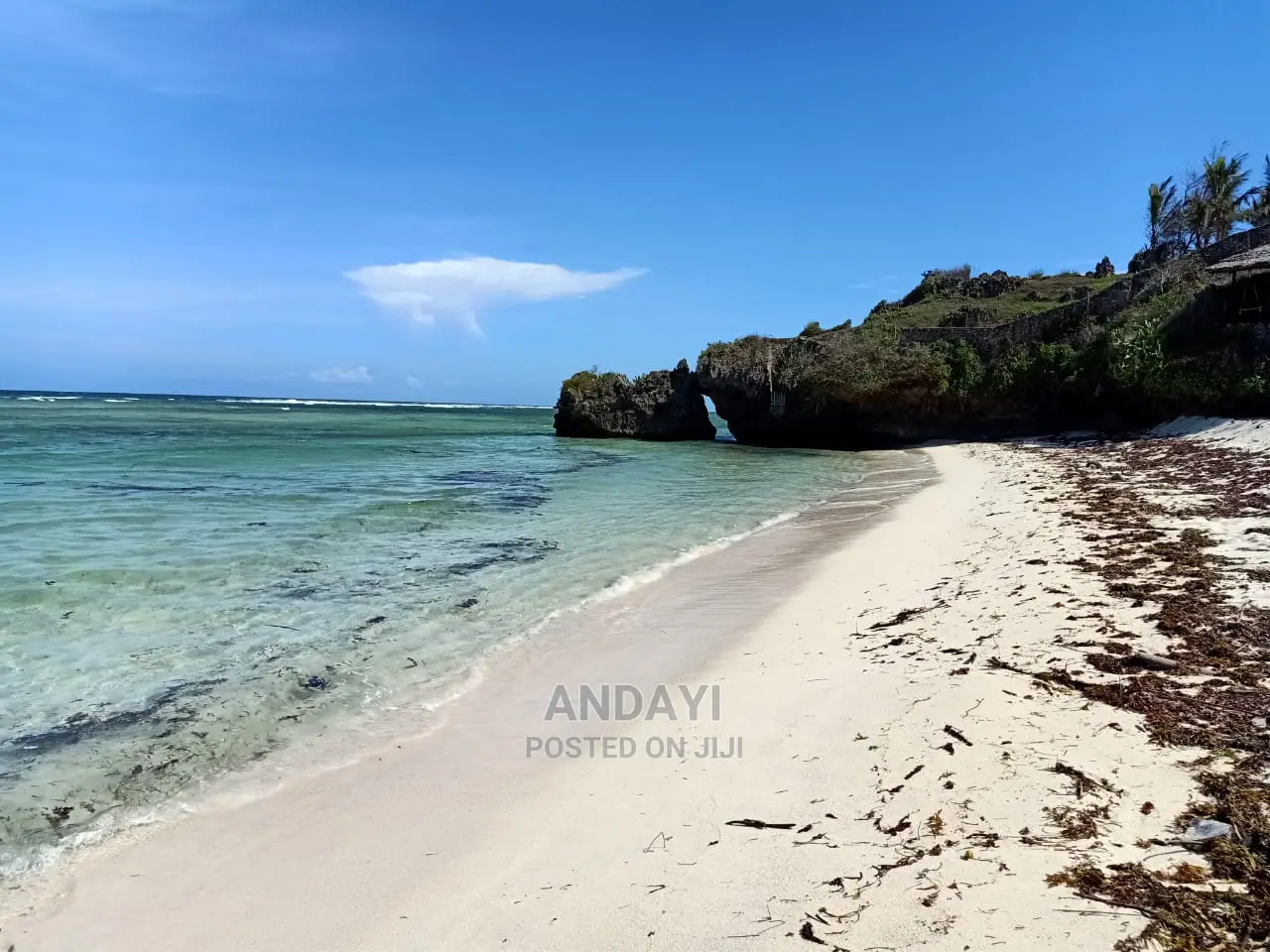 Prime Watamu Beach Plot Available for Purchase in Watamu