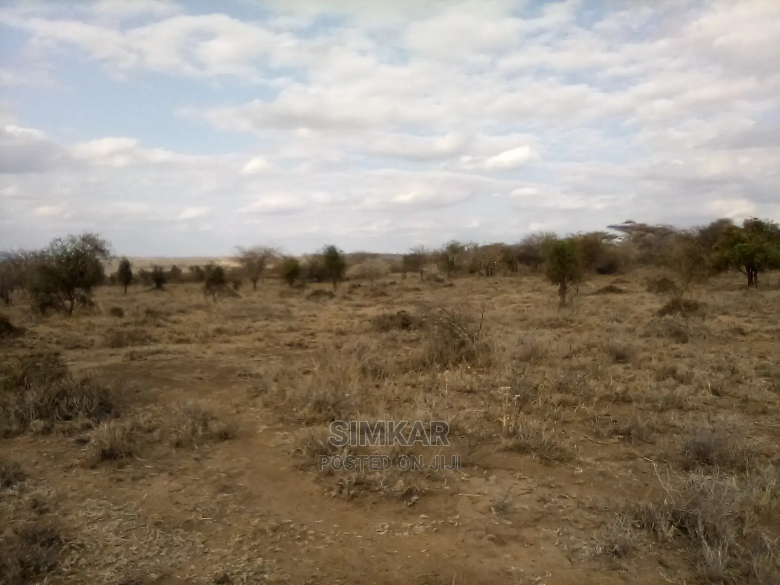 Bisil - Namanga: 550-Acre Land Parcel for Sale in Lorogoswa, Tanzania in Bisil