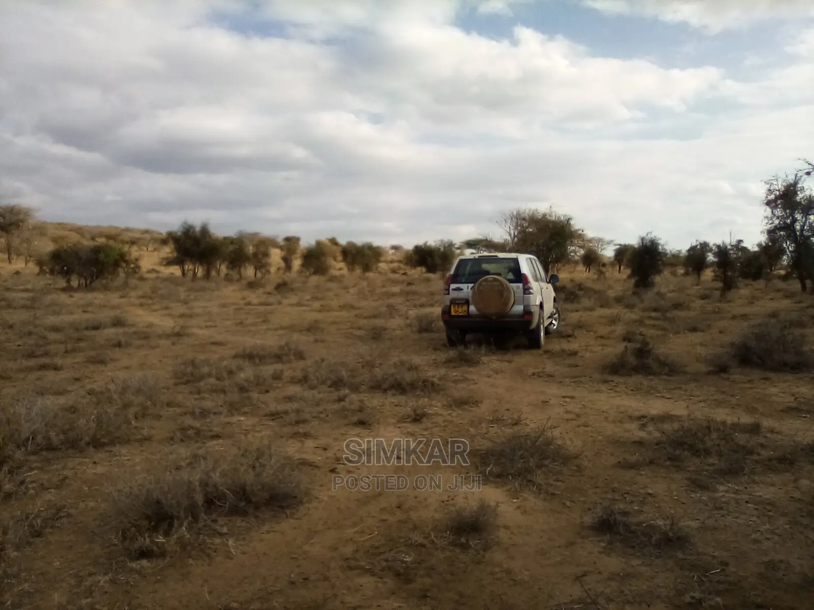 Bisil - Namanga: 550-Acre Land Parcel for Sale in Lorogoswa, Tanzania in Bisil