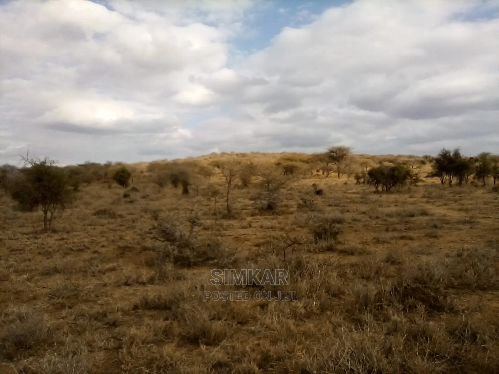 Bisil - Namanga: 550-Acre Land Parcel for Sale in Lorogoswa, Tanzania in Bisil