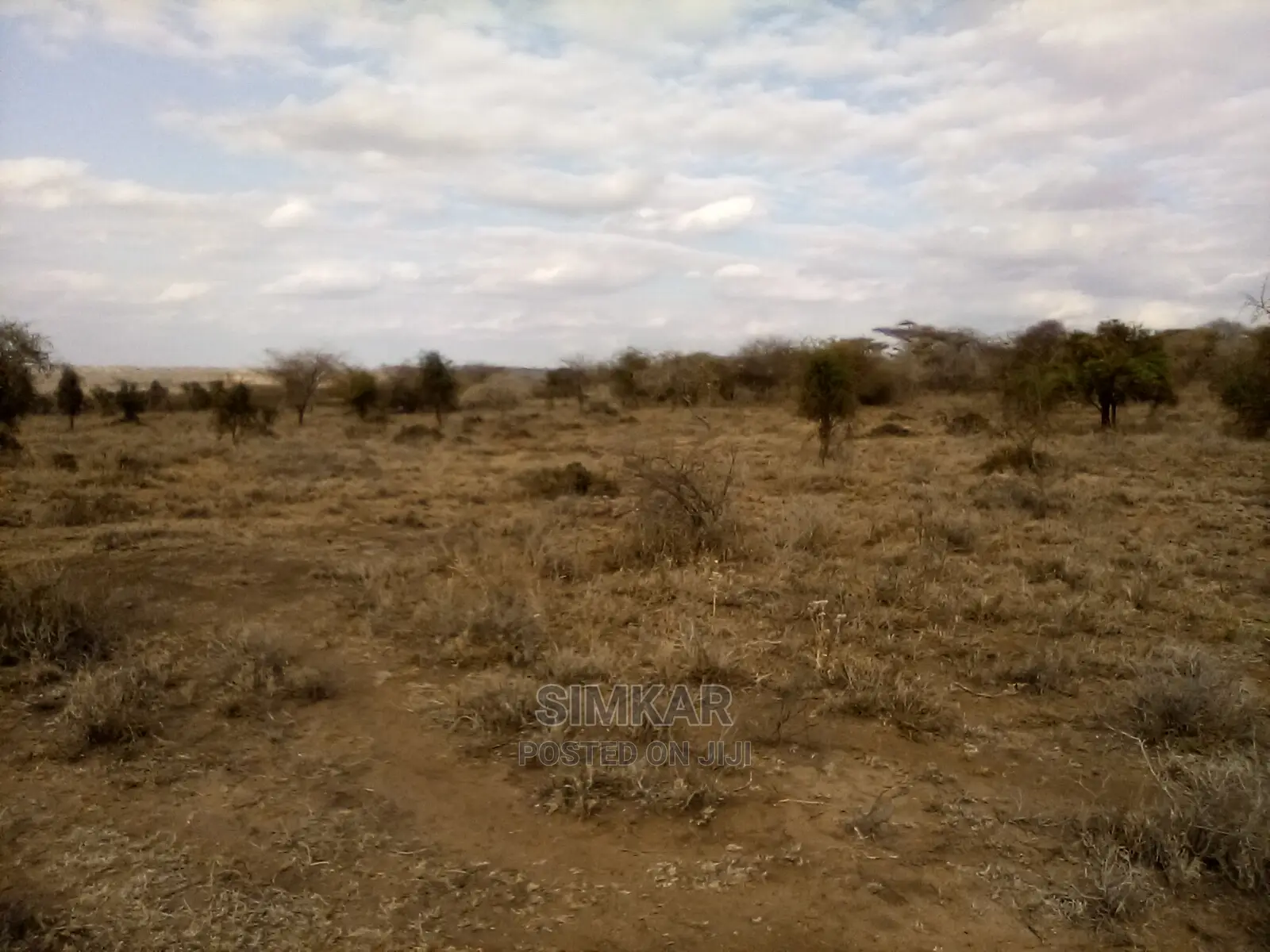 Bisil - Namanga: 550-Acre Land Parcel for Sale in Lorogoswa, Tanzania in Bisil