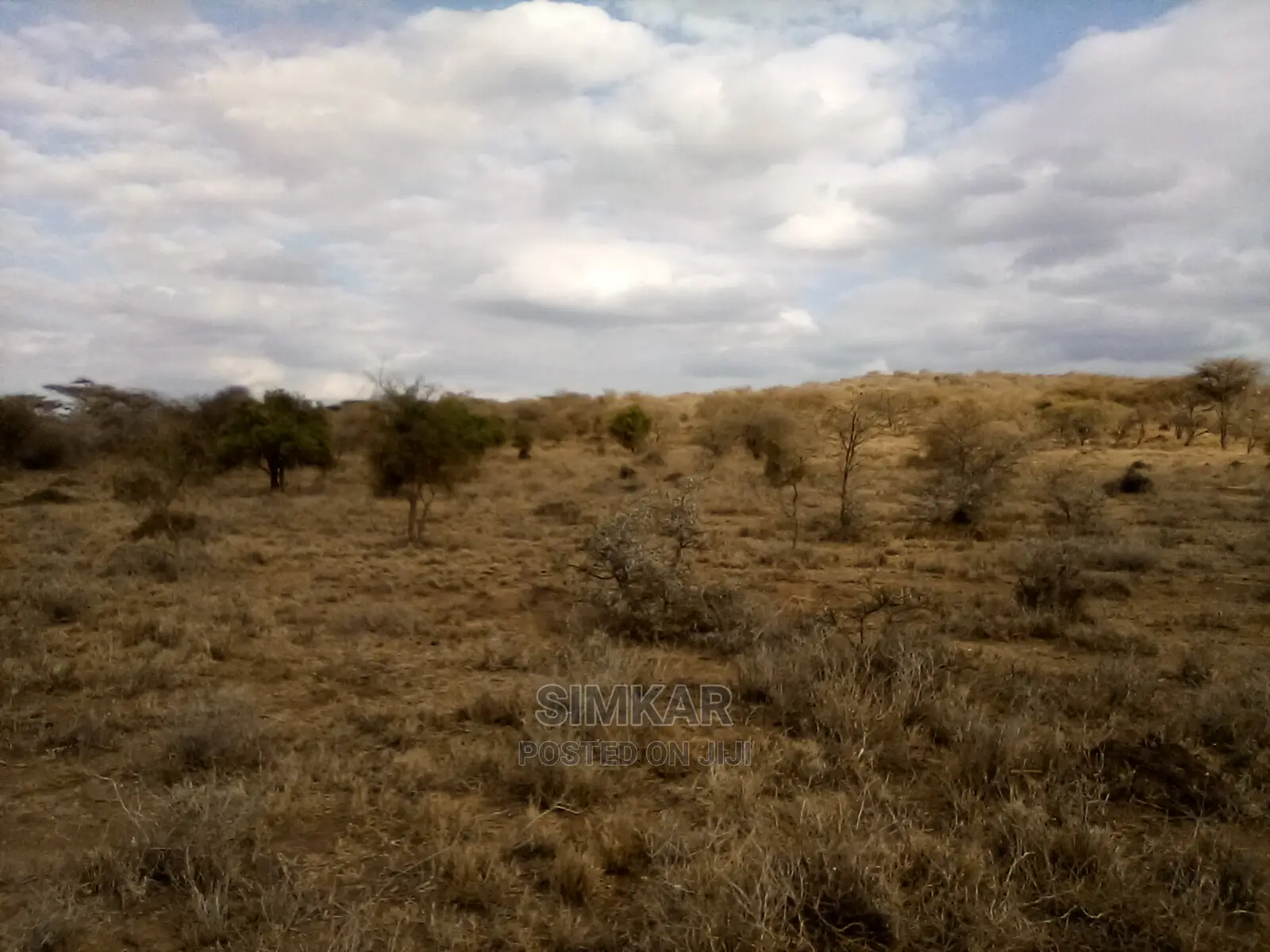 Bisil - Namanga: 550-Acre Land Parcel for Sale in Lorogoswa, Tanzania in Bisil