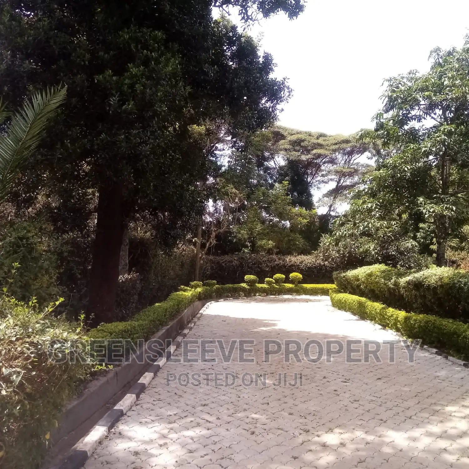 6bdrm Townhouse / Terrace in Karen for rent in Karen