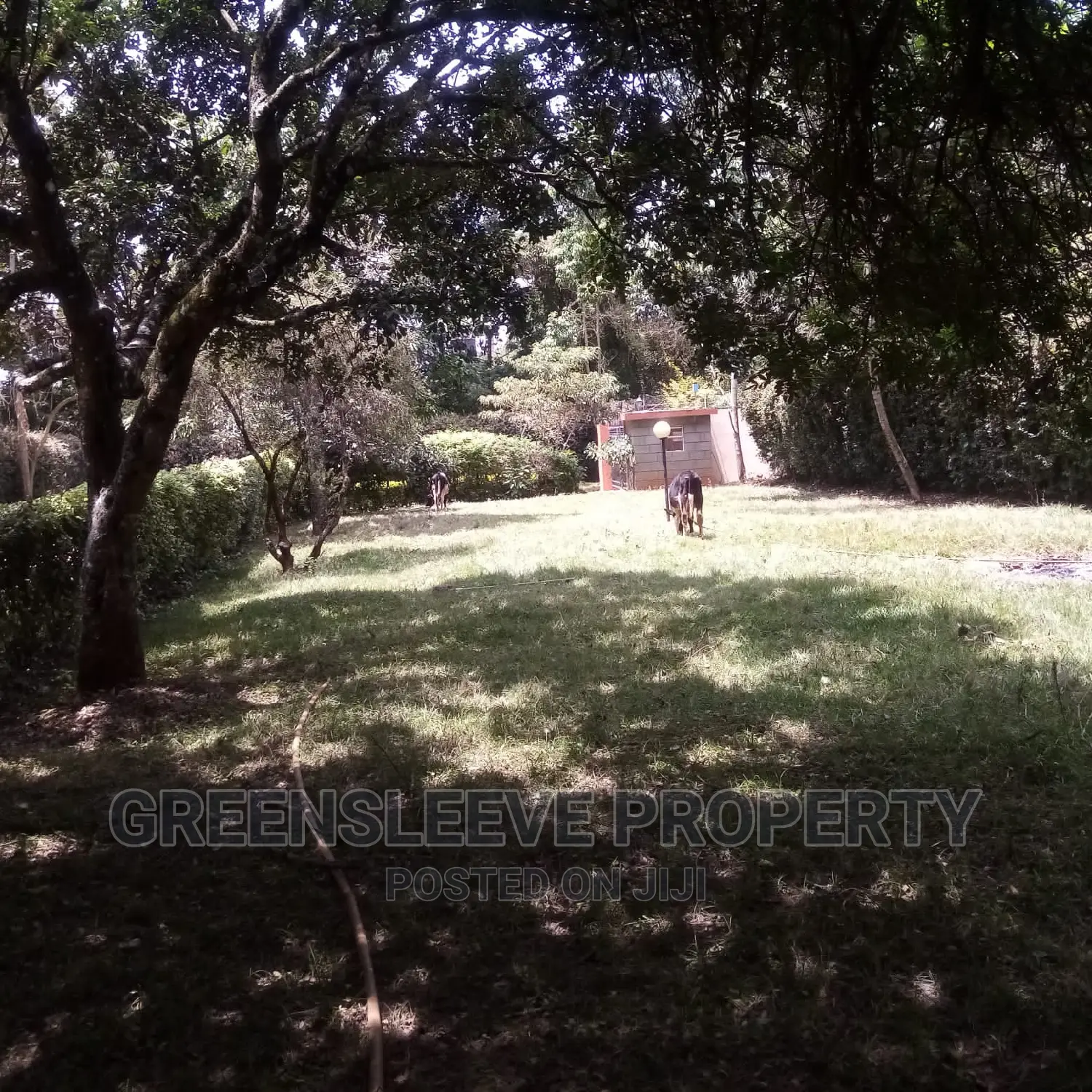 6bdrm Townhouse / Terrace in Karen for rent in Karen