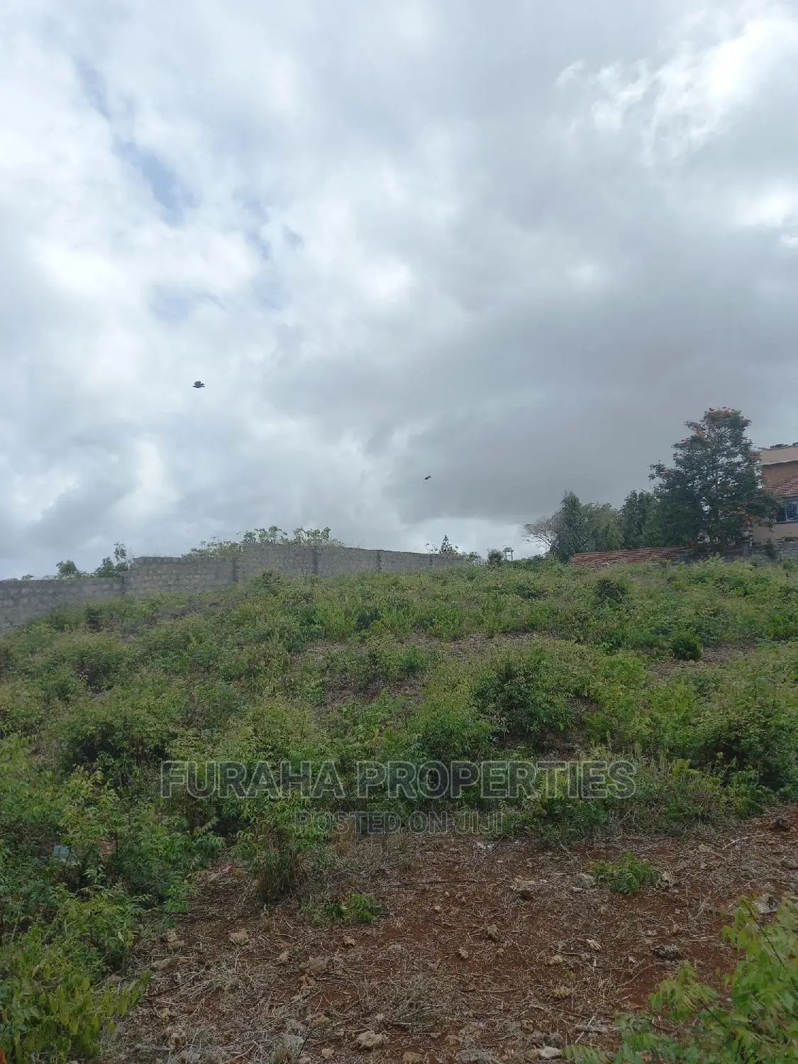 Quarter Acre Land for Sale in Nyali: Perfect Investment Opportunity in Nyali