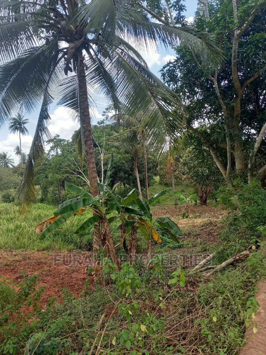 Sale: 6 Acres of Agricultural Land in Msambweni, Kenya in Ramisi
