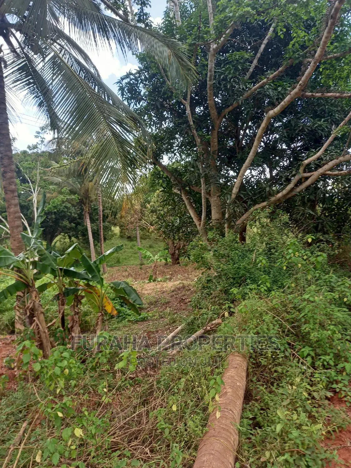 Sale: 6 Acres of Agricultural Land in Msambweni, Kenya in Ramisi