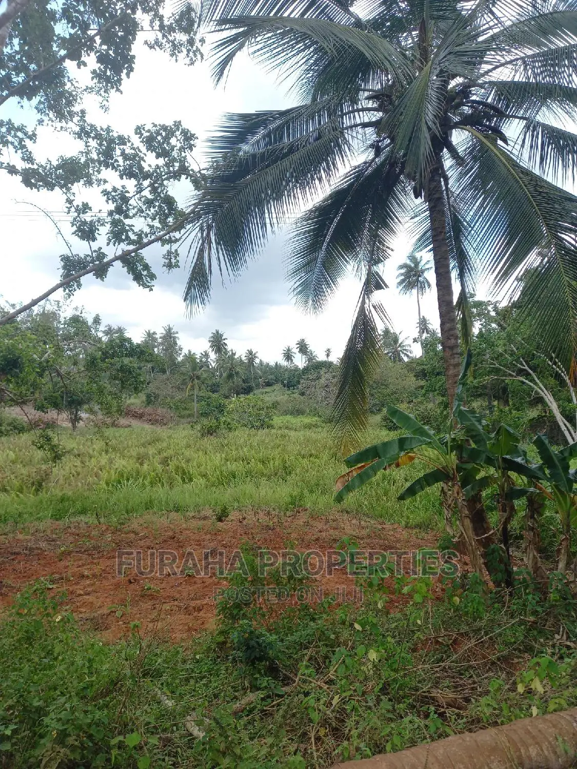 Sale: 6 Acres of Agricultural Land in Msambweni, Kenya in Ramisi