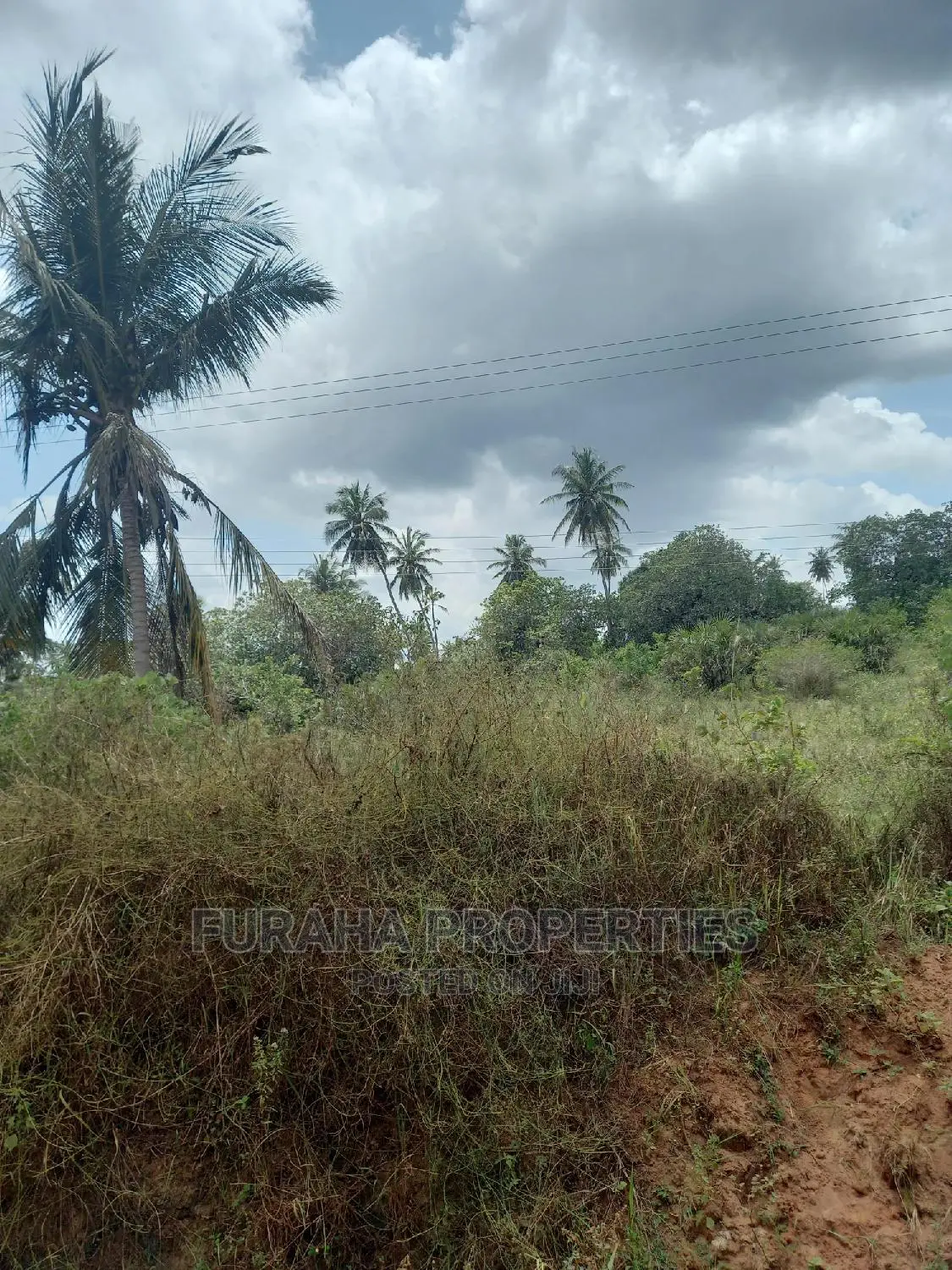 Sale: 6 Acres of Agricultural Land in Msambweni, Kenya in Ramisi