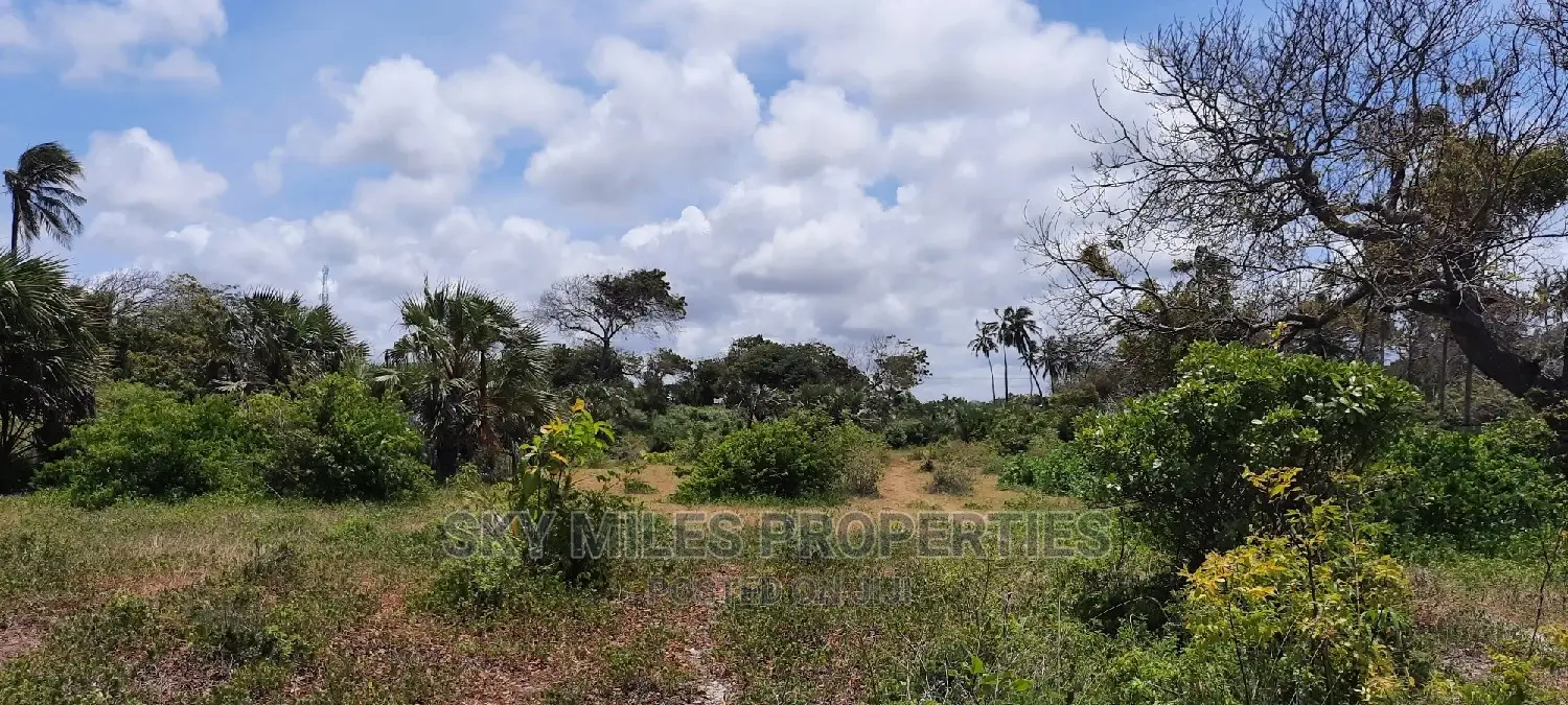 Beachfront Property - 10 Acres Available in Kikambala