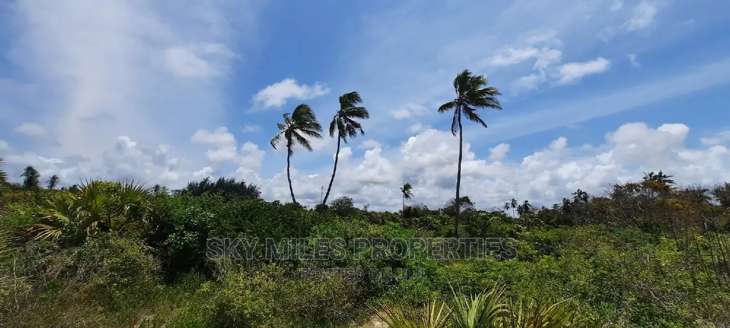 Beachfront Property - 10 Acres Available in Kikambala