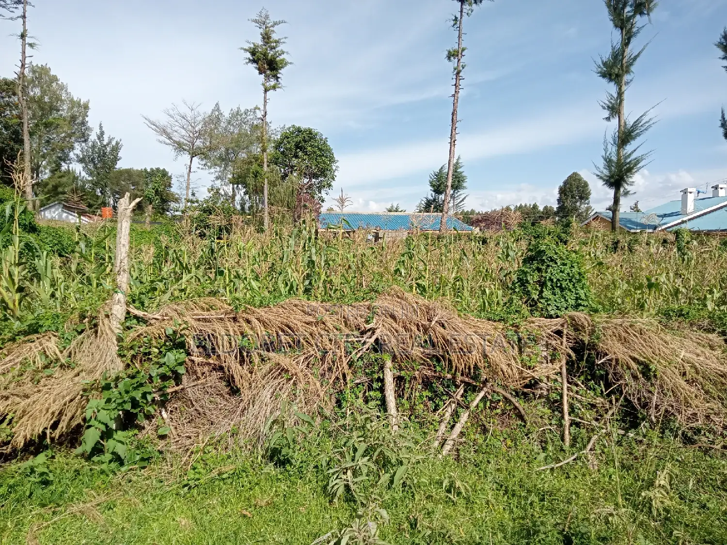 1/8 Acre Plot in Kapsoya: Ideal for Rentals in Racecourse