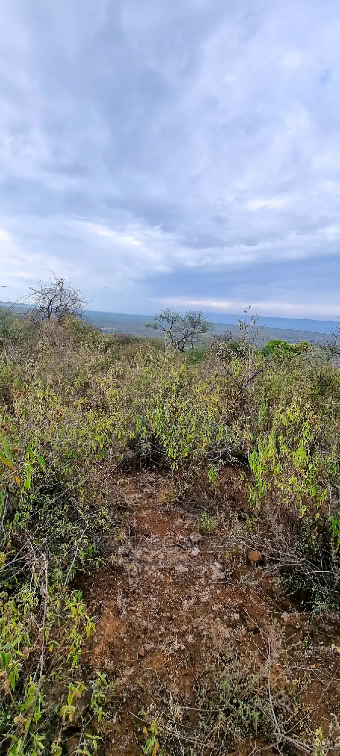 Cliff-Edge Acreage: 10 Acres in Lentoko for $420,000 Each in Ewuaso Oonkidong'I