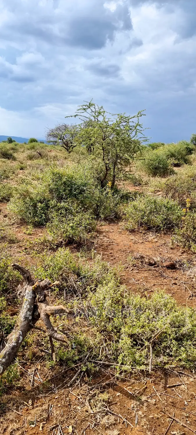 Cliff-Edge Acreage: 10 Acres in Lentoko for $420,000 Each in Ewuaso Oonkidong'I