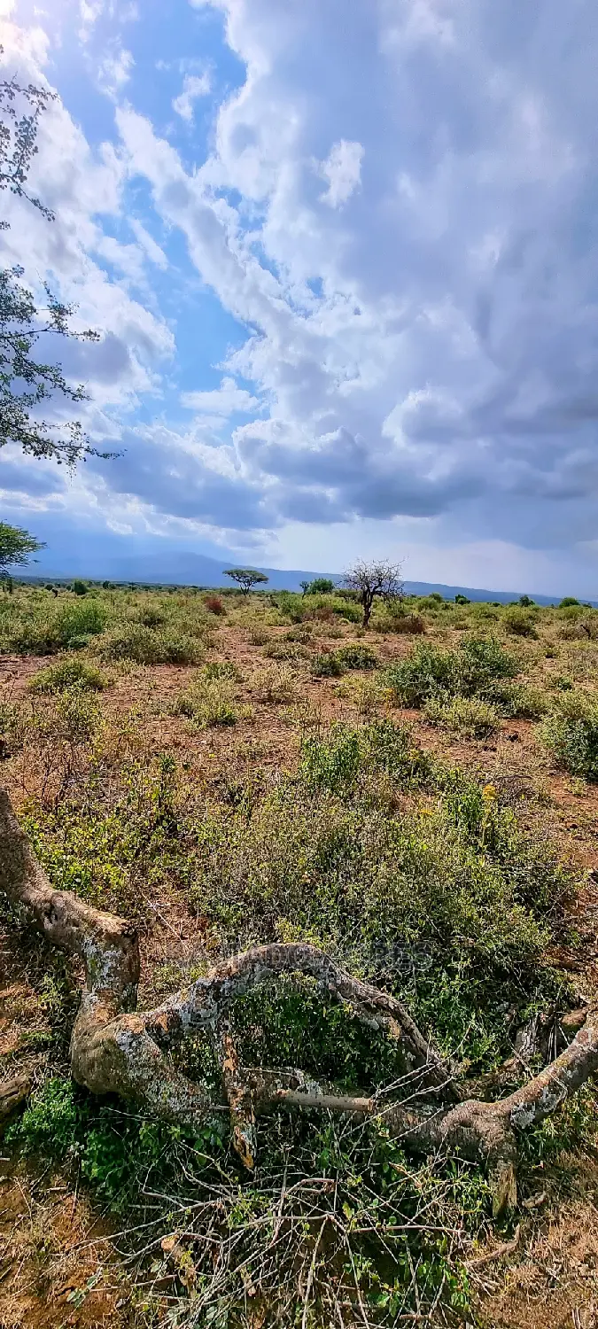 Cliff-Edge Acreage: 10 Acres in Lentoko for $420,000 Each in Ewuaso Oonkidong'I