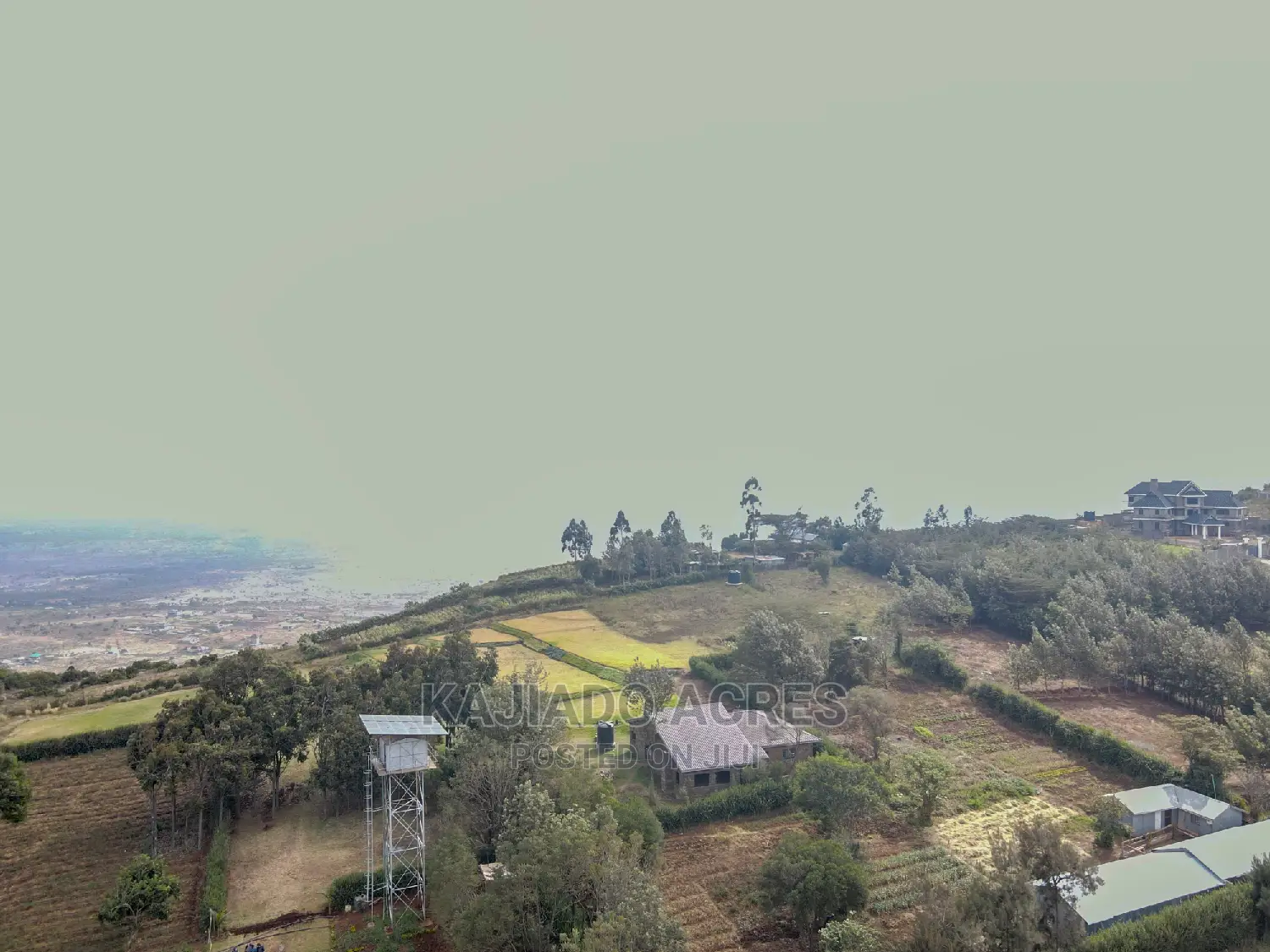 Exquisite 1/8 Kibiko(Lemiso) Figure at 3.5m - Two Exclusive Variants in Ngong