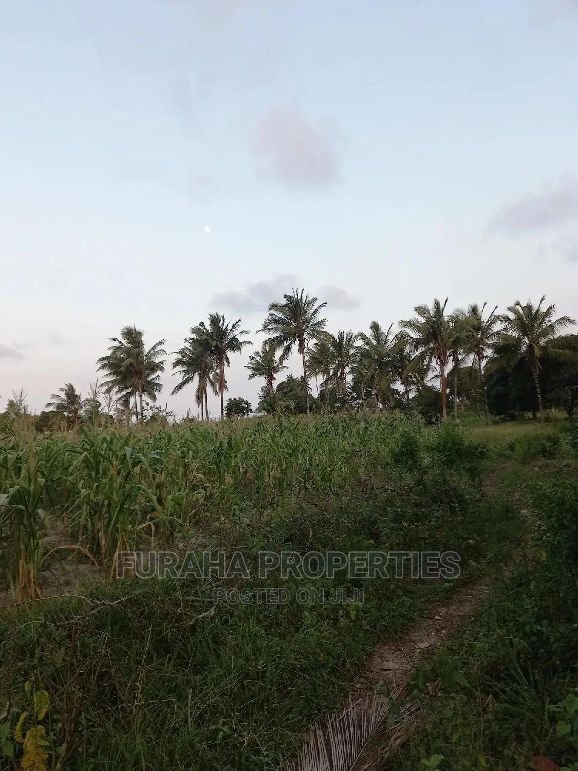 12-Acre Farming Land for Sale in Kikambala - Perfect for Agricultural Investment in Kikambala