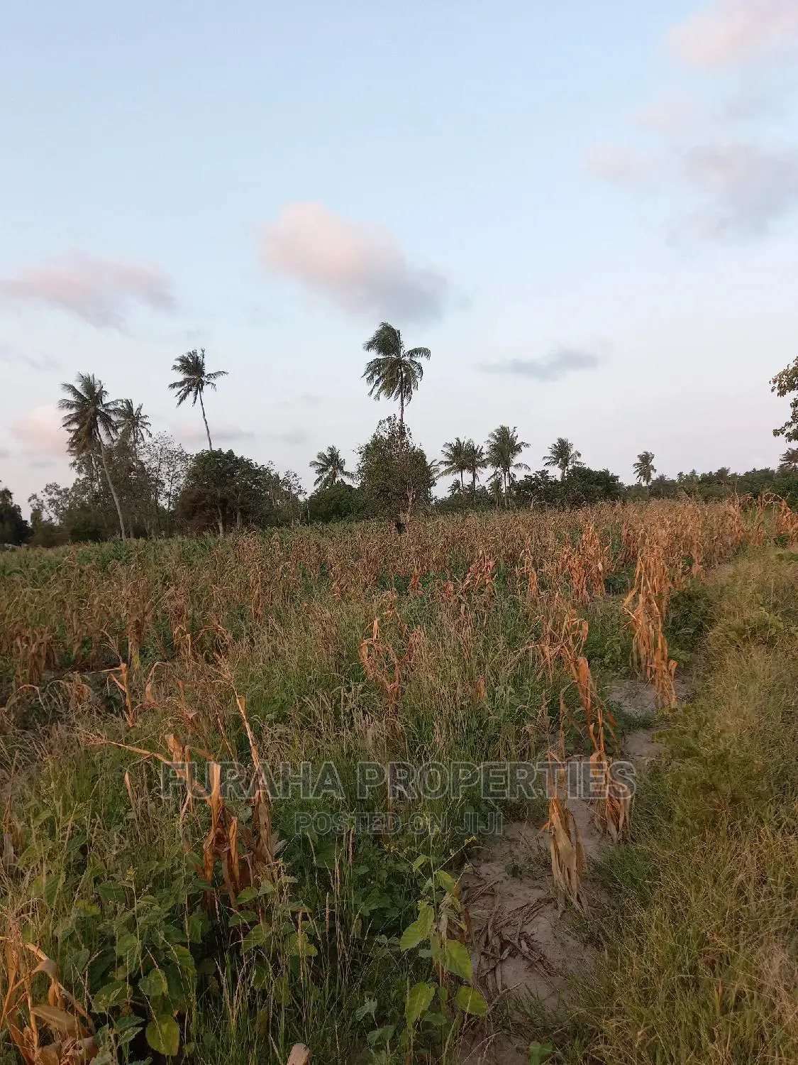 12-Acre Farming Land for Sale in Kikambala - Perfect for Agricultural Investment in Kikambala